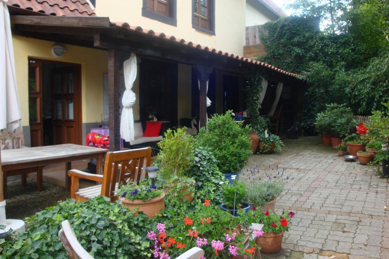 Apartement De Vacances Alsace - Ferienwohnung Elsass - Holiday Apartment Alsace Bischwiller Εξωτερικό φωτογραφία