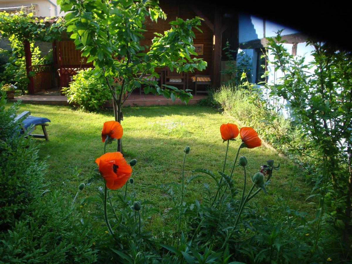 Apartement De Vacances Alsace - Ferienwohnung Elsass - Holiday Apartment Alsace Bischwiller Εξωτερικό φωτογραφία
