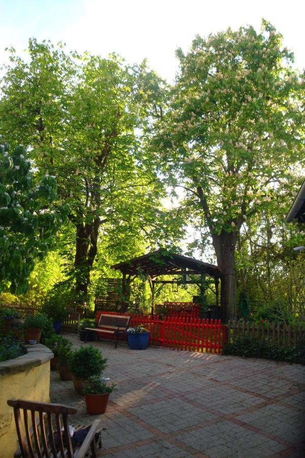 Apartement De Vacances Alsace - Ferienwohnung Elsass - Holiday Apartment Alsace Bischwiller Εξωτερικό φωτογραφία