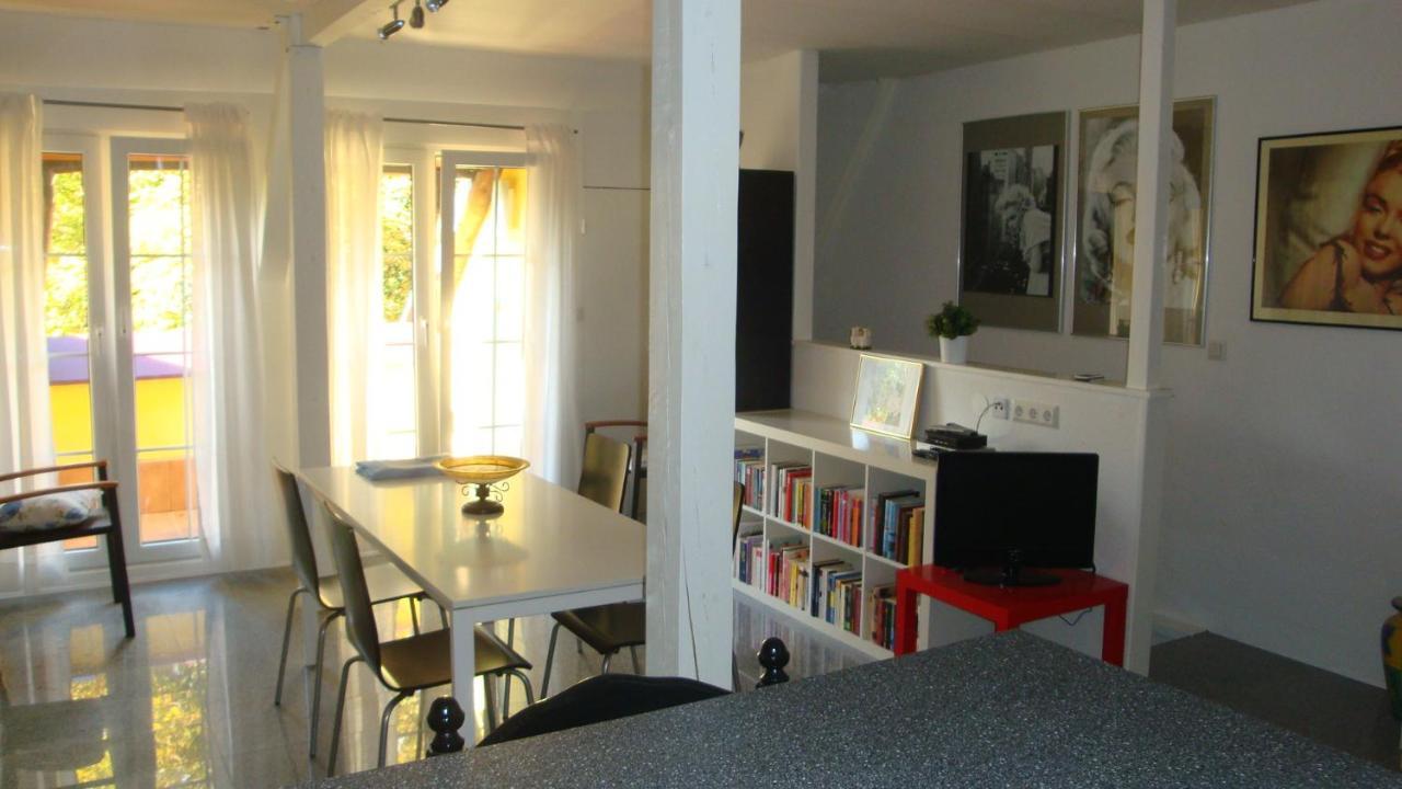 Apartement De Vacances Alsace - Ferienwohnung Elsass - Holiday Apartment Alsace Bischwiller Εξωτερικό φωτογραφία